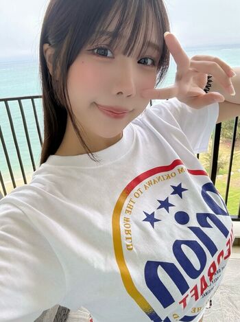 Towa Rabbit