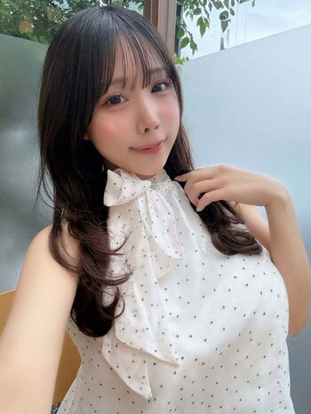 Towa Rabbit
