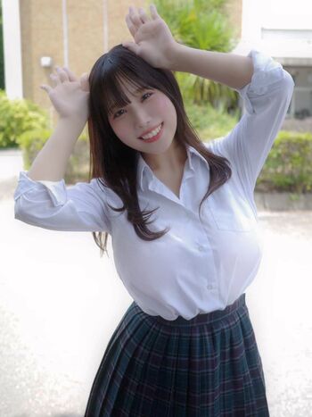 Towa Rabbit