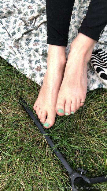 vanessadrippingnectar1