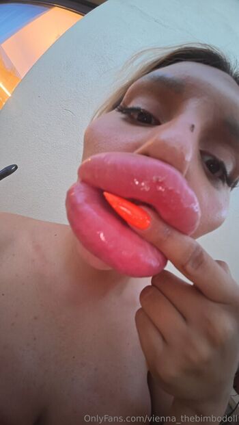 vienna_thebimbodoll