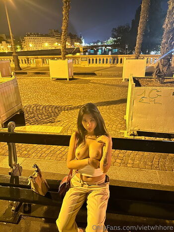 Full leaked Vietwhhore private onlyfans photo