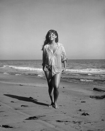 Vintage Sexy Celebs
