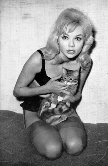 Full leaked Vintage starlets page private onlyfans photo
