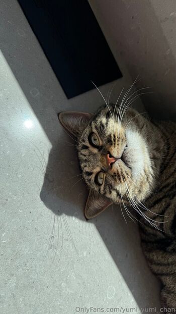 Full leaked Yumi yumi chan private onlyfans photo