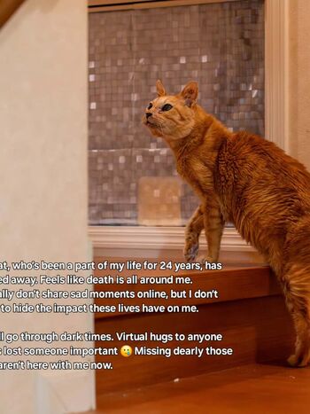 Full leaked Naughty dreams/ private onlyfans photo